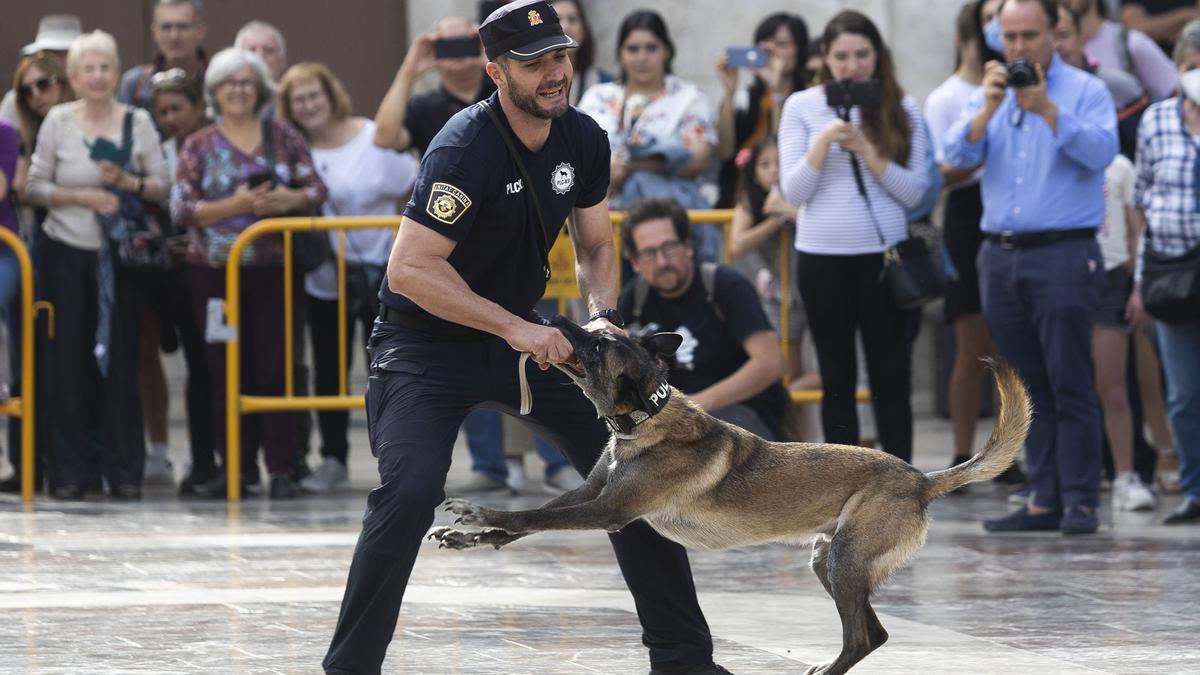 Formación Unidades Caninas Policiales