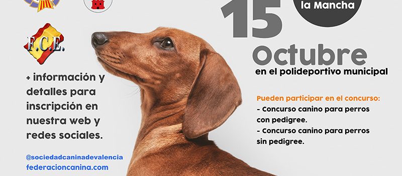 Concurso Canino de Morfología y Belleza de Cardenete