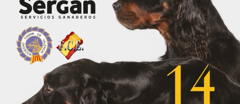 I Concurso Canino de Morfología y Belleza en Villa de Muro